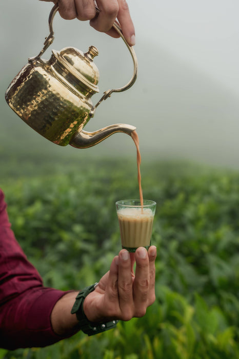 WILD CHAI - Monsoon Hills - Indian Masala Chai | featured in Vogue & GQ