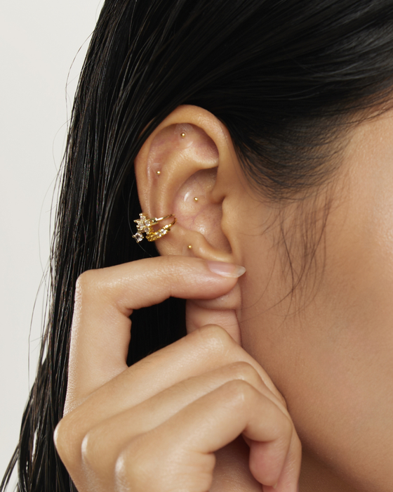 24K Gold Plated Ear Seed Kit